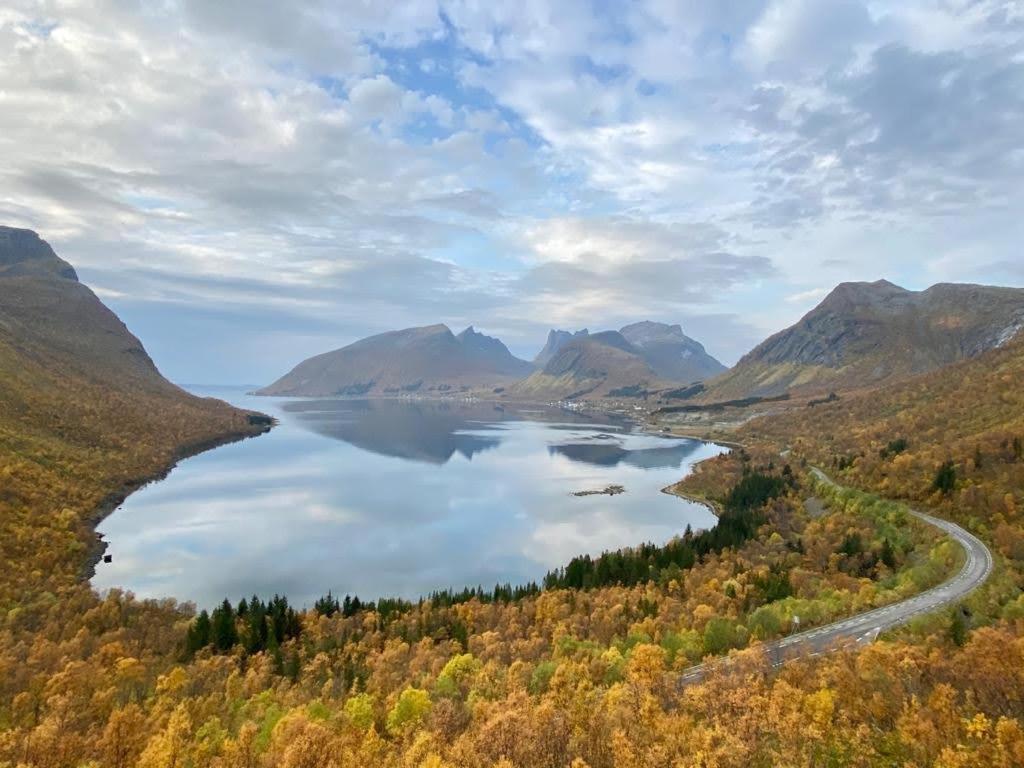 Ferrytale, Cozy, Spacious House On Senja Gryllefjord Екстериор снимка