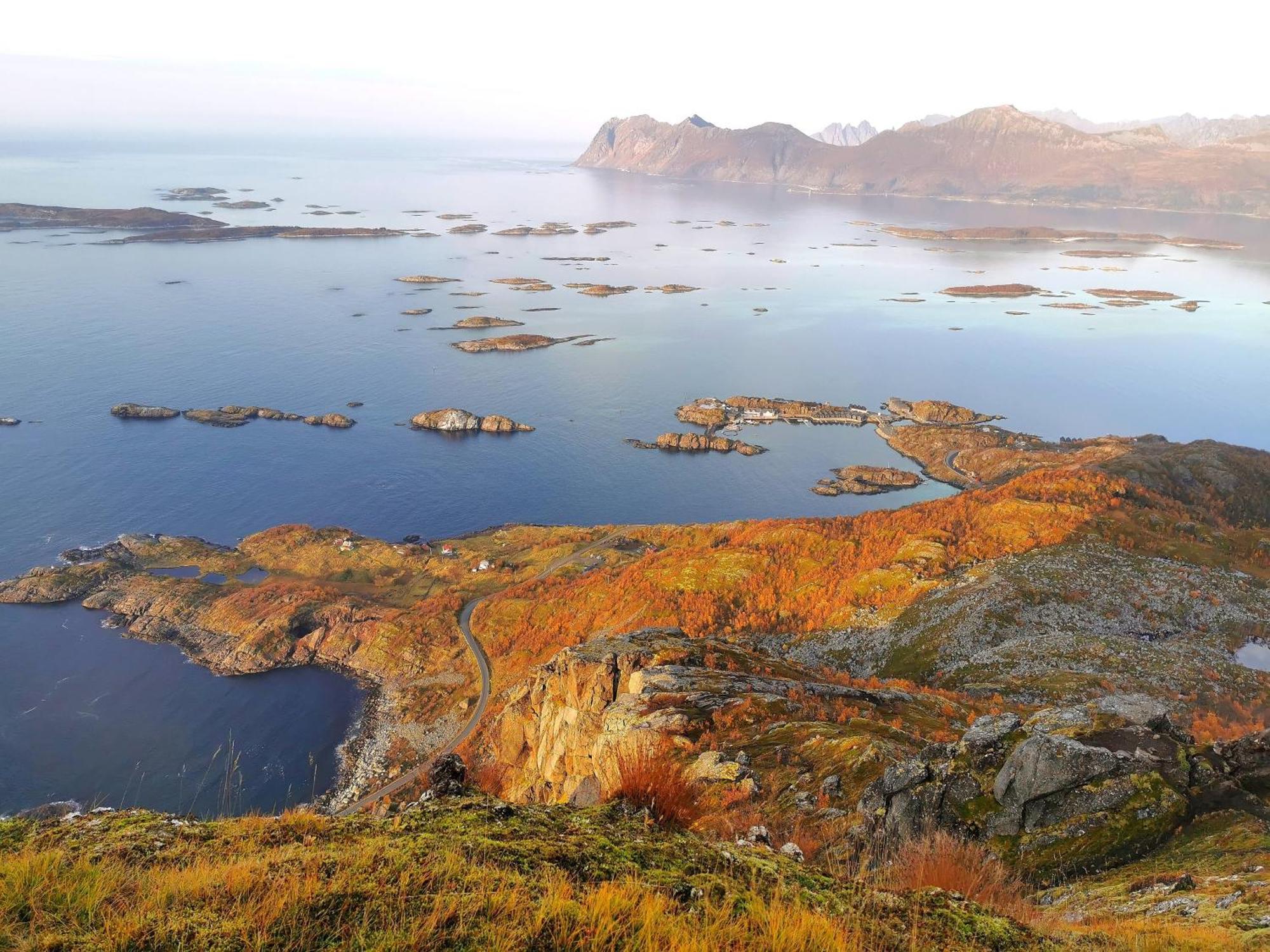 Ferrytale, Cozy, Spacious House On Senja Gryllefjord Екстериор снимка