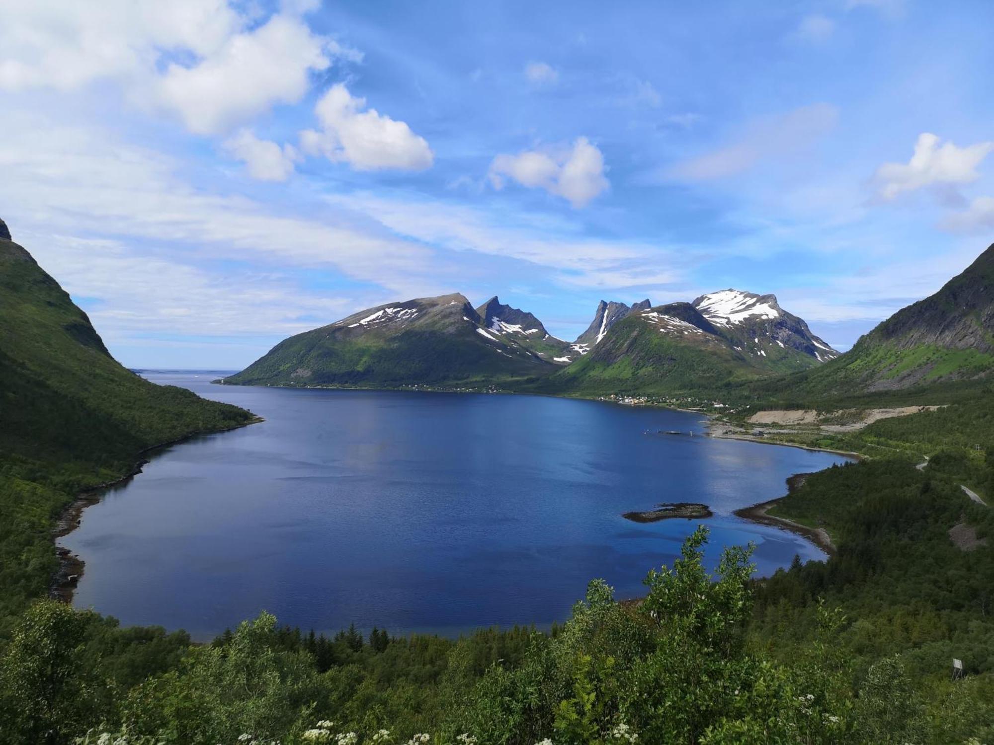 Ferrytale, Cozy, Spacious House On Senja Gryllefjord Екстериор снимка